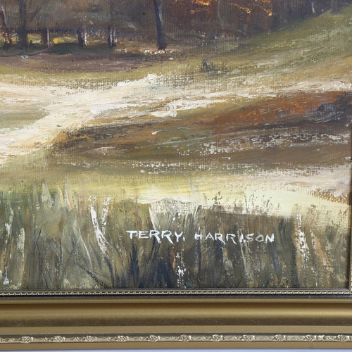 1807 - Terry Harrison, oil on canvas, panoramic mountain landscape, 66cm x 97cm overall, framed