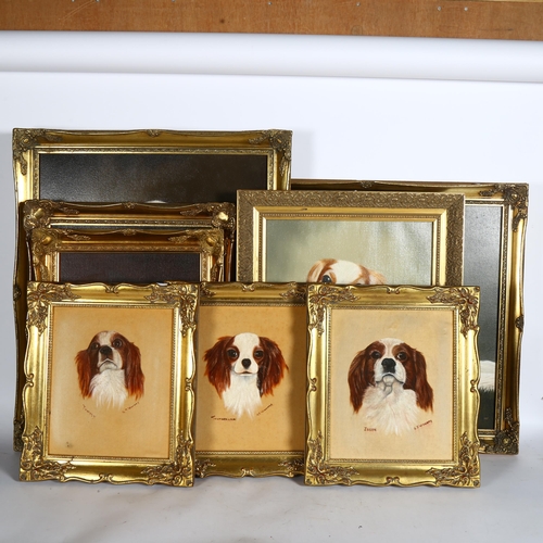 1844 - 8 various oils, dog studies, all gilt-framed and signed, 5 by G J Williams and 3 by Andrew Hall, lar... 