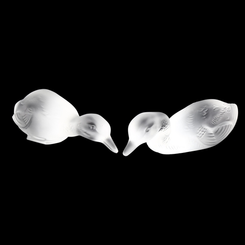 1031 - BACCARAT - pair of frosted glass ducks, length 13cm