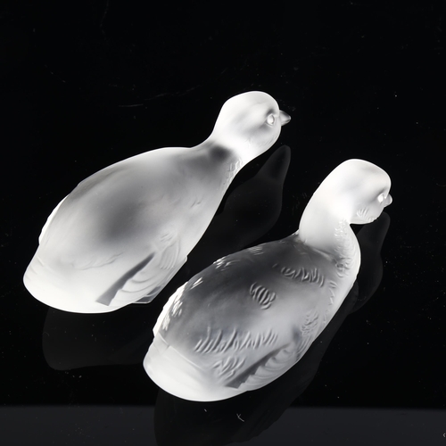 1031 - BACCARAT - pair of frosted glass ducks, length 13cm