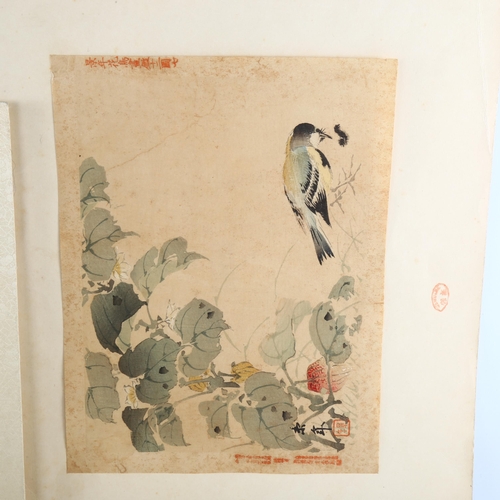 1144 - A set of 4 Chinese watercolours with text inscriptions, image size 20cm x 26cm, unframed