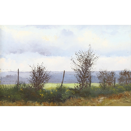 1551 - Pamela Derry (1932 - 2002), oil on board, landscape, 22cm x 34cm, framed