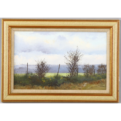 1551 - Pamela Derry (1932 - 2002), oil on board, landscape, 22cm x 34cm, framed