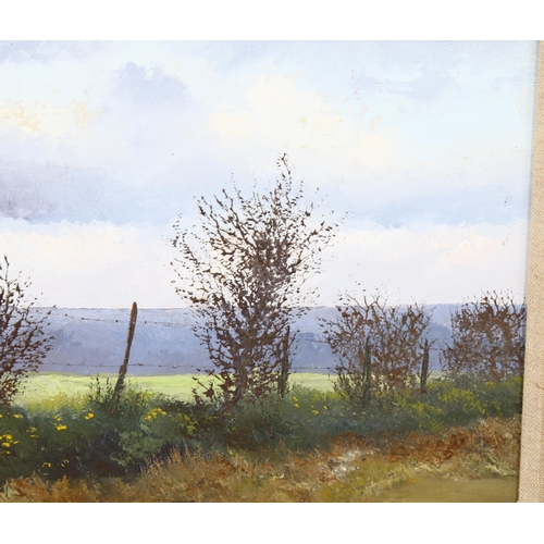 1551 - Pamela Derry (1932 - 2002), oil on board, landscape, 22cm x 34cm, framed