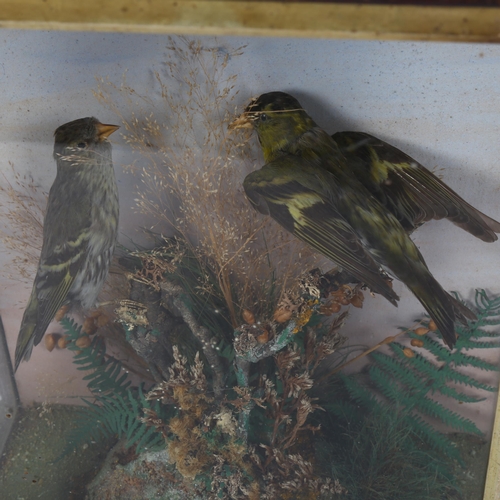 90 - TAXIDERMY - a pair of finches on naturalistic plinth, in glazed case, case height 30cm