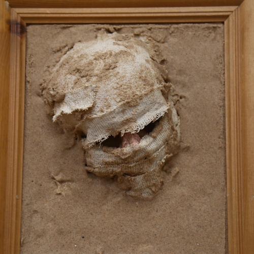 779 - A pine framed 3-D composition depicting a half buried mummy's head, height 38cm