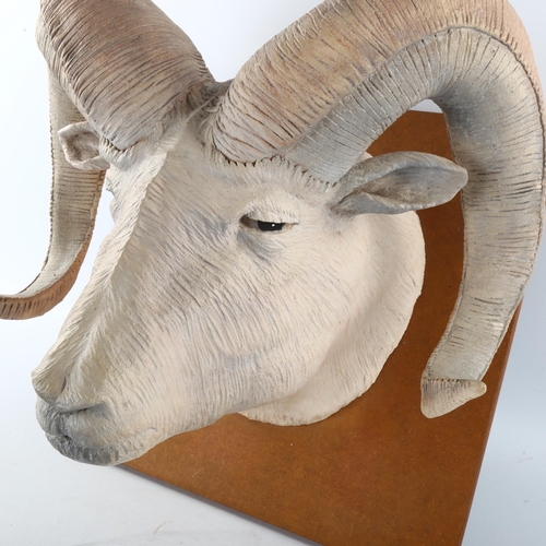236 - Jackie Summerfield ram's head ceramic sculpture, mounted on wood backing board, board dimensions 36c... 