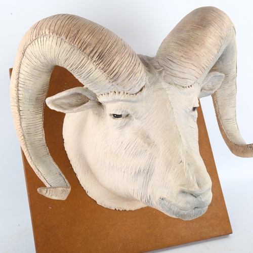 236 - Jackie Summerfield ram's head ceramic sculpture, mounted on wood backing board, board dimensions 36c... 