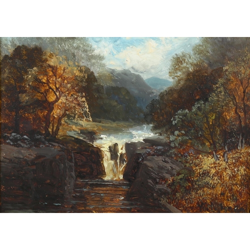 506 - Walter Meegan (1859 - 1944), oil on board, waterfall, signed, 29cm x 21cm, framed