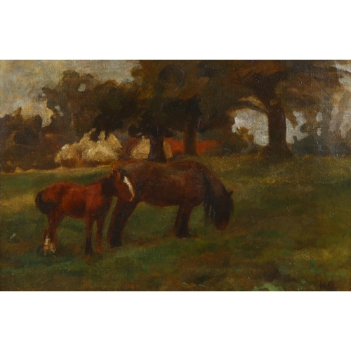 507 - Countess Helena Gleichen (1873 - 1947), oil on canvas, study of a mare and colt, signed with monogra... 