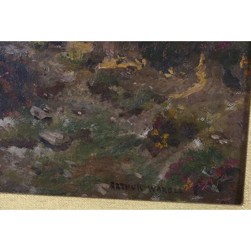 525 - Arthur Wardle (1860 - 1949), oil on canvas laid on board, Exmoor, signed, 24cm x 33cm, framed
