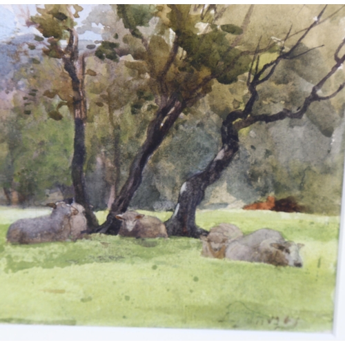 540 - Edward Davies (1843 - 1912), watercolour, sheep in shade, signed, 13cm x 22cm, framed