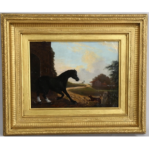 541 - 19th century oil on copper, horse startled by a dog, unsigned, 15cm x 20cm, framed