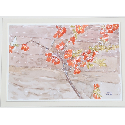 597 - Maurice Sheppard, 2 watercolours, blossom and country cottages, 20cm x 30cm, mounted