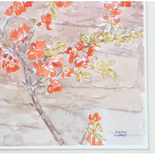 597 - Maurice Sheppard, 2 watercolours, blossom and country cottages, 20cm x 30cm, mounted