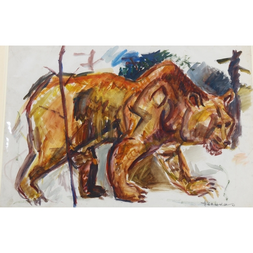 608 - Henry Saunders, watercolour, grizzly bear, signed, 36cm x 54cm, mounted