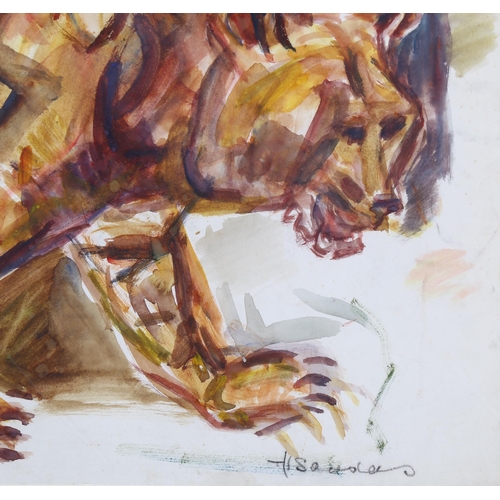 608 - Henry Saunders, watercolour, grizzly bear, signed, 36cm x 54cm, mounted