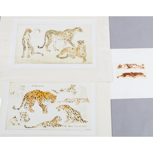 610 - Irene Makoveva, 3 coloured etchings, wildlife, mounted (3)