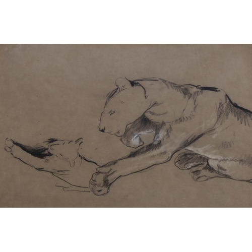 611 - Arthur Wardle (1864 - 1949), charcoal/chalk on brown paper, lioness and cub, 25cm x 38cm, mounted