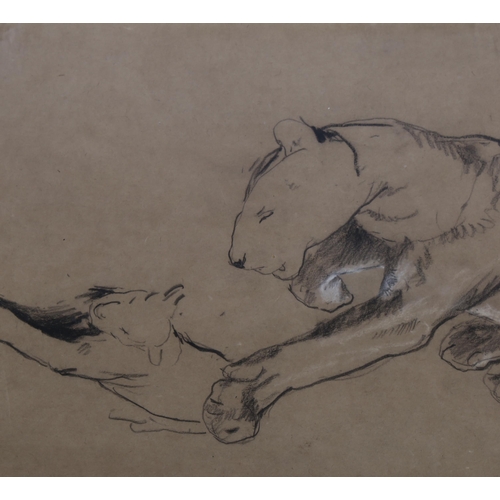 611 - Arthur Wardle (1864 - 1949), charcoal/chalk on brown paper, lioness and cub, 25cm x 38cm, mounted