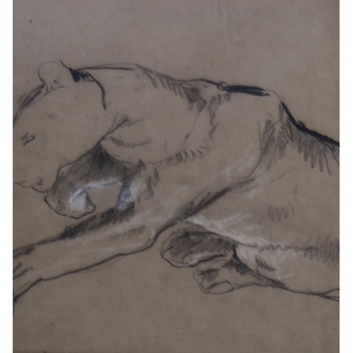 611 - Arthur Wardle (1864 - 1949), charcoal/chalk on brown paper, lioness and cub, 25cm x 38cm, mounted