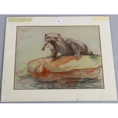 612 - Arthur Spencer Roberts (1920 - 1997), coloured pastels, Canadian otter 1957, signed, 40cm x 52cm, mo... 