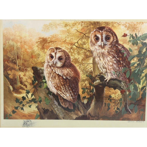 615 - Arthur Spencer Roberts, colour print, Barn owls, signed in pencil with remarque, image 43cm x 60cm, ... 