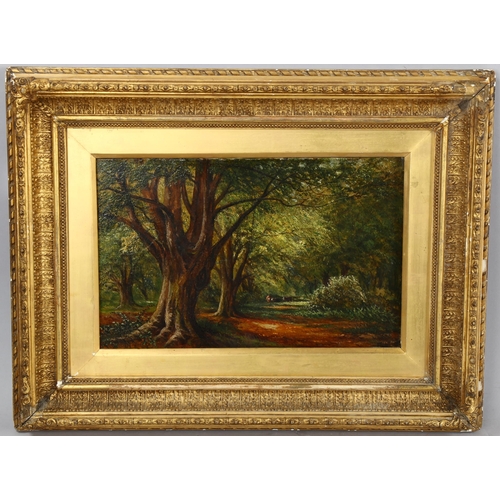 624 - J Foster, 19th century oil on canvas, woodland scene, signed, 23cm x 36cm, framed