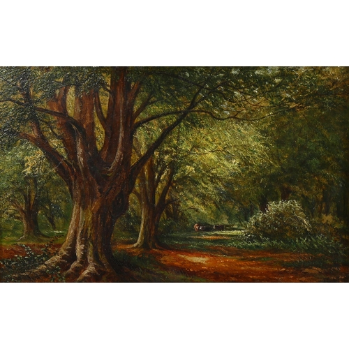 624 - J Foster, 19th century oil on canvas, woodland scene, signed, 23cm x 36cm, framed