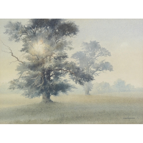 630 - Nigel Price, watercolour, trees in the mists, 28cm x 38cm, framed