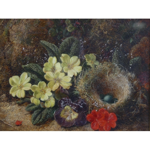 631 - Vincent Clare, pair of oils on canvas, still life studies, 1 signed, 20cm x 25cm, framed