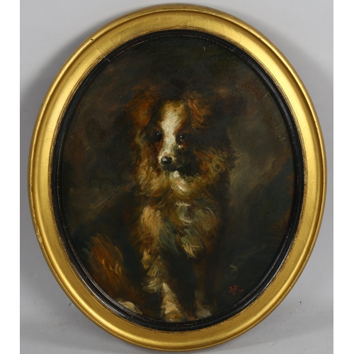 669 - Oval oil on board, portrait of a dog, signed with monogram RF '07, 50cm x 40cm, framed