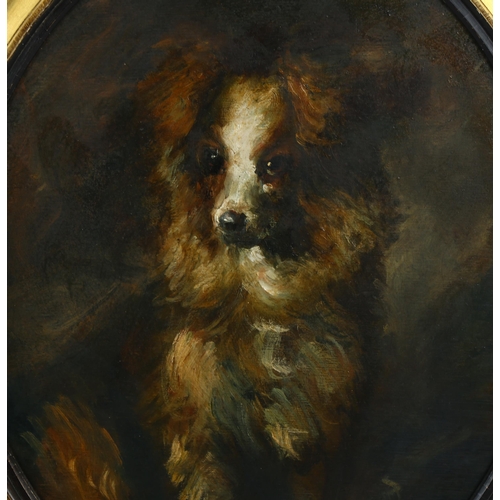 669 - Oval oil on board, portrait of a dog, signed with monogram RF '07, 50cm x 40cm, framed