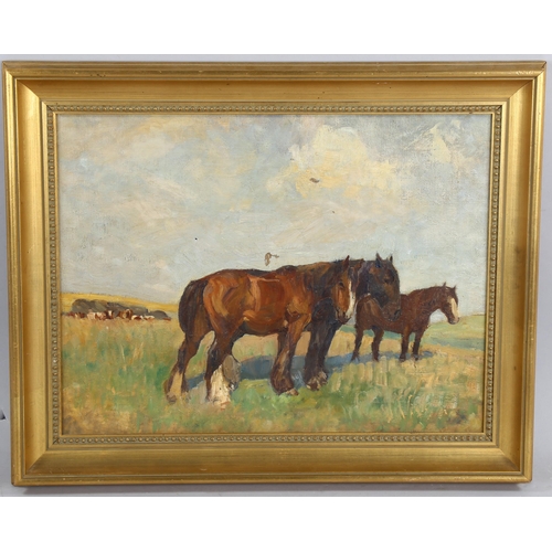 672 - Early 20th century oil on canvas, horses in a field, unsigned, 40cm x 52cm, framed