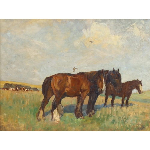 672 - Early 20th century oil on canvas, horses in a field, unsigned, 40cm x 52cm, framed