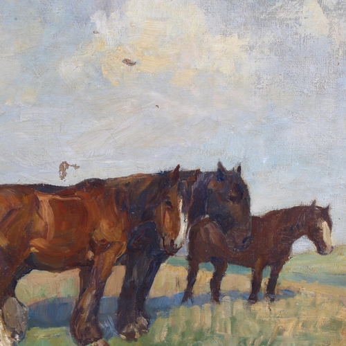 672 - Early 20th century oil on canvas, horses in a field, unsigned, 40cm x 52cm, framed