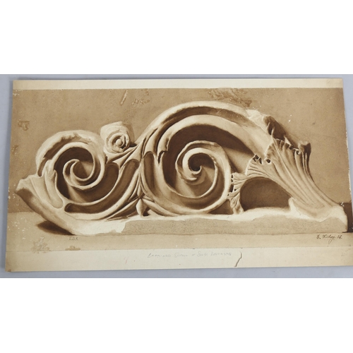 716 - E Withey, watercolour study of a plaster shell 1856, Examination School of South Kensington, image 3... 