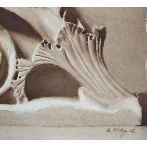 716 - E Withey, watercolour study of a plaster shell 1856, Examination School of South Kensington, image 3... 