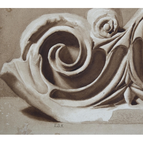 716 - E Withey, watercolour study of a plaster shell 1856, Examination School of South Kensington, image 3... 