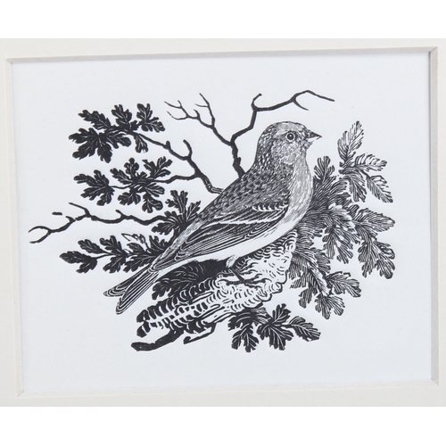 761 - Thomas Bewick (1753-1828), wood engraving on paper, The Lesser Redpole, 6cm x 7.5cm. Printed directl... 