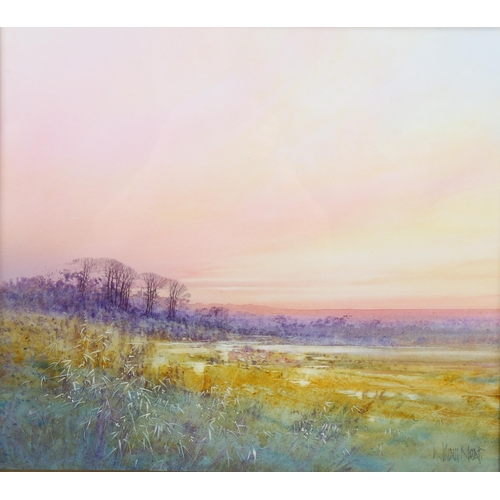 762 - William Neal (b. 1947), watercolour on paper, Sunset, signed, 36cm x 40.5cm, mounted, framed and gla... 