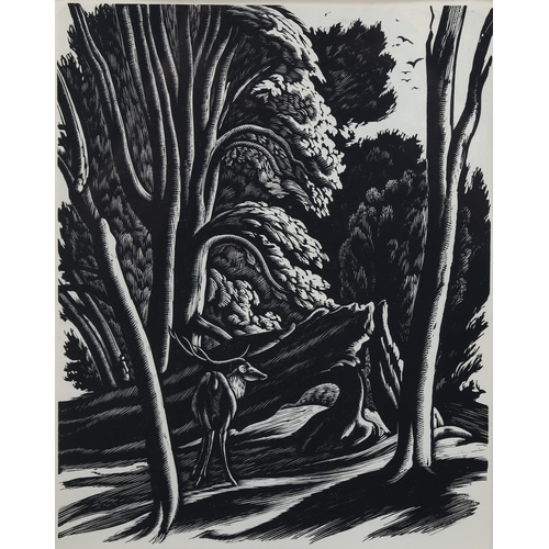 763 - Ethelbert White (1891-1972), wood engraving on paper, A Corner of the Forest (1931), 21.5cm x 17cm, ... 