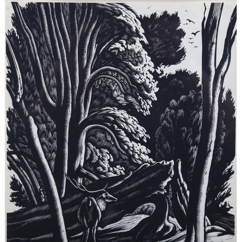 763 - Ethelbert White (1891-1972), wood engraving on paper, A Corner of the Forest (1931), 21.5cm x 17cm, ... 