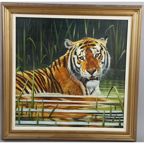 766 - David Ayling, oil on canvas, Tiger in River, signed, 58.5cm x 58.5cm, framed