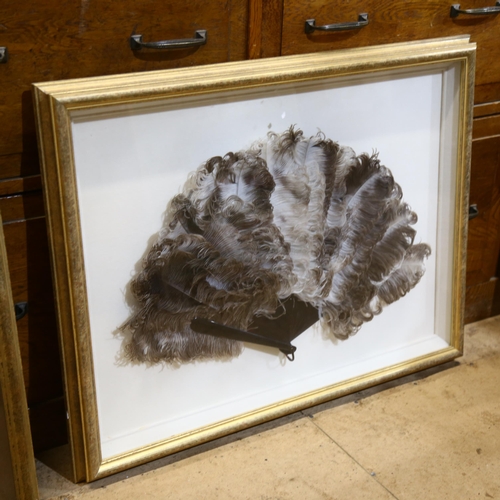 34 - 2 framed and glazed ostrich feather fans, frame size 60cm x 84cm
