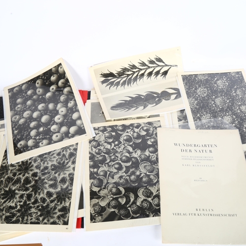 90 - KARL BLOSSFELDT - a collection of loose black and white book plates, Nature's Miracle Garden