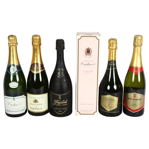 282 - A quantity of Vintage Cava and Champagne, including Champagne Antoine de Clevecy etc (6)