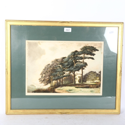 2827 - Joseph Kirkpatrick, pair of original coloured aquatints, departing day, and a Sussex hilltop, labels... 