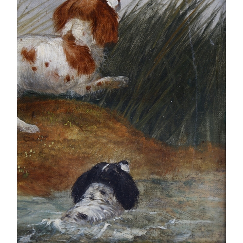 552 - After George Armfield, Spaniels and ducks, 19th century oil on canvas, 25cm x 30cm, framed