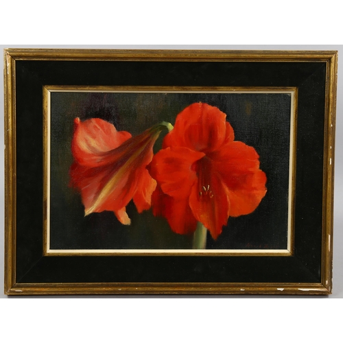 583 - Mid-20th century oil on canvas, still life Amaryllis, indistinctly signed, 27cm x 41cm, framed